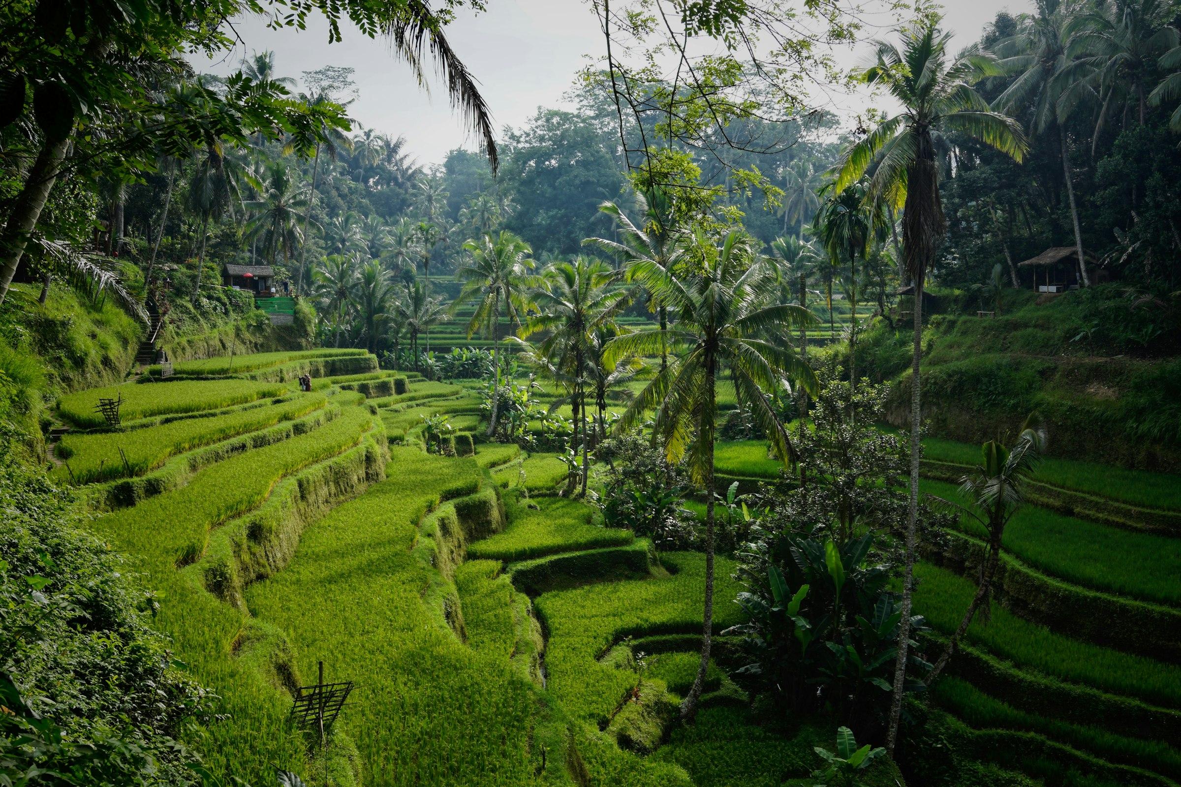 Ubud, Indonesia